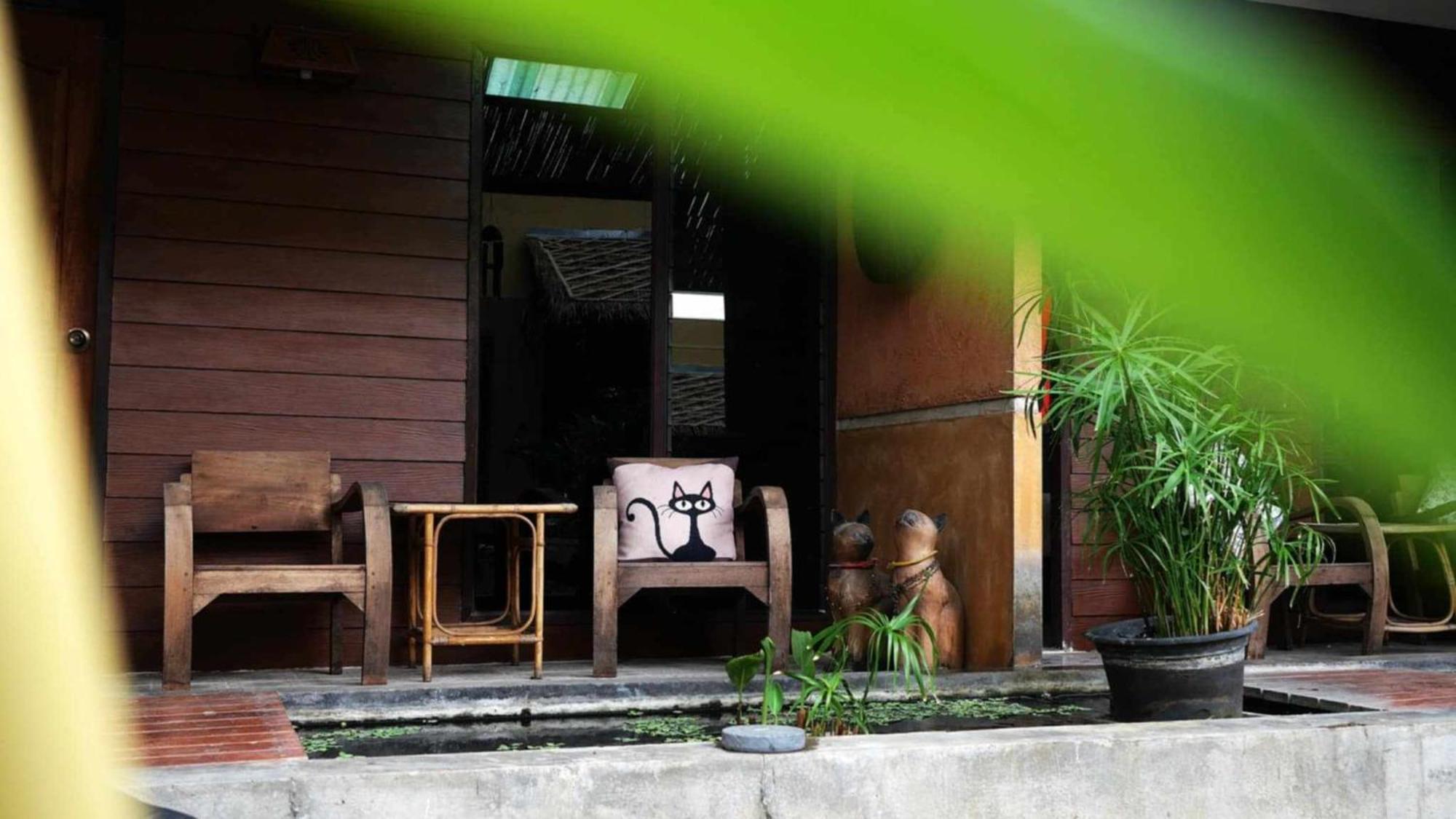 Koko Palm Inn — Fotoğraflar 1